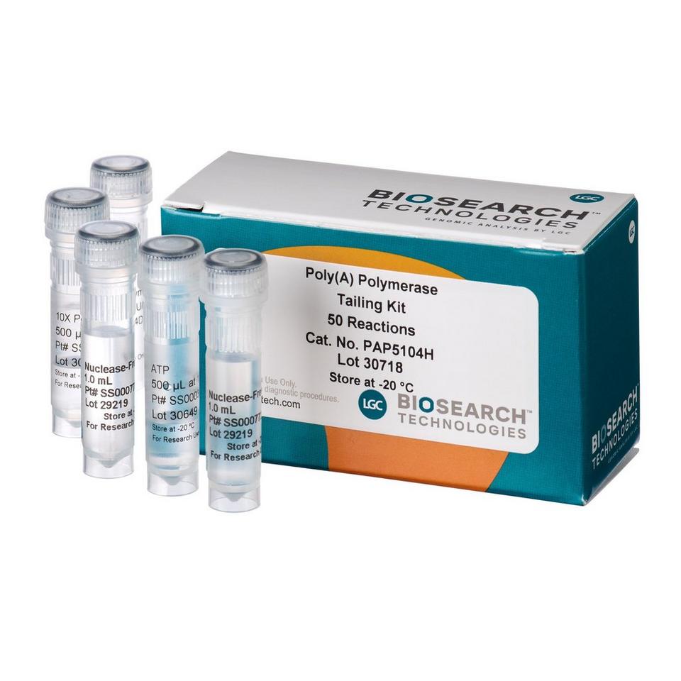 Poly(A) Polymerase Tailing Kit